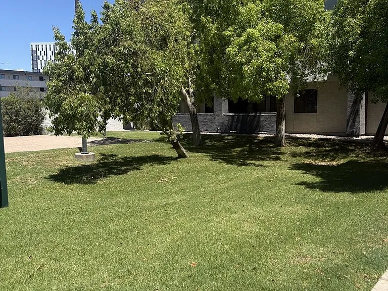 1215 E Lemon St #105 — Photo 4