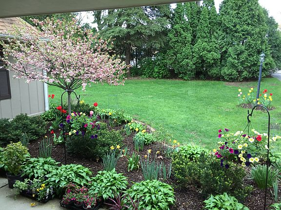 Spring Time