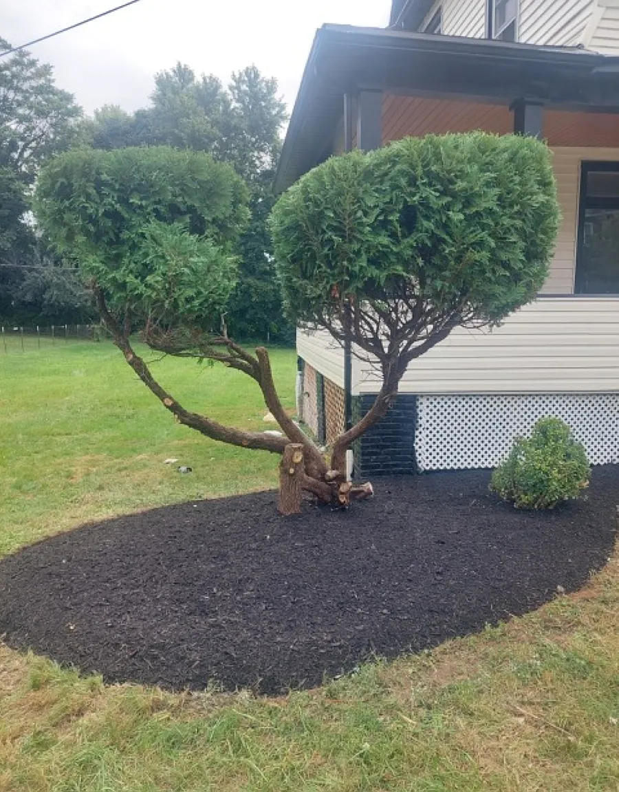 6 bed, 2028 sqft, $3,295 — Photo 4