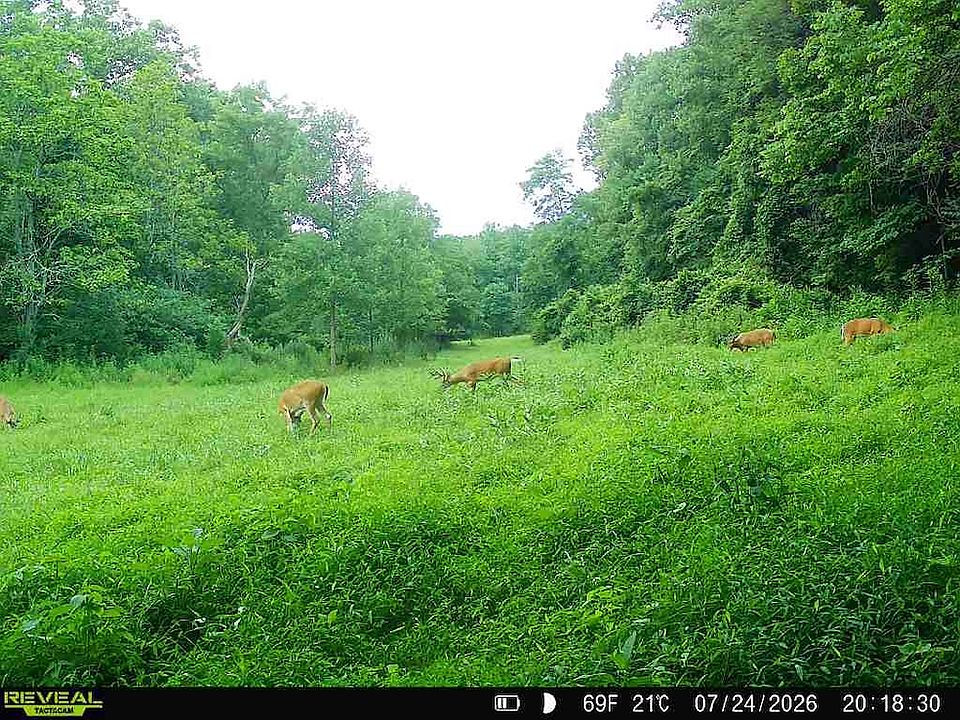 1st image of 0 Cold Run Valley Rd