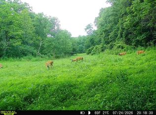 0 Cold Run Valley Rd, Berkeley Springs, WV 25411