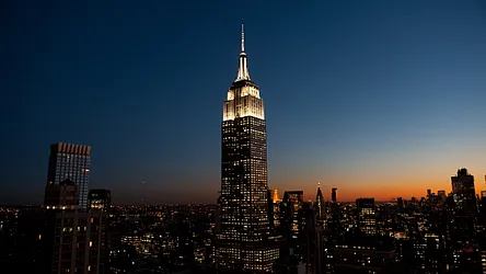 Rented by Bold New York