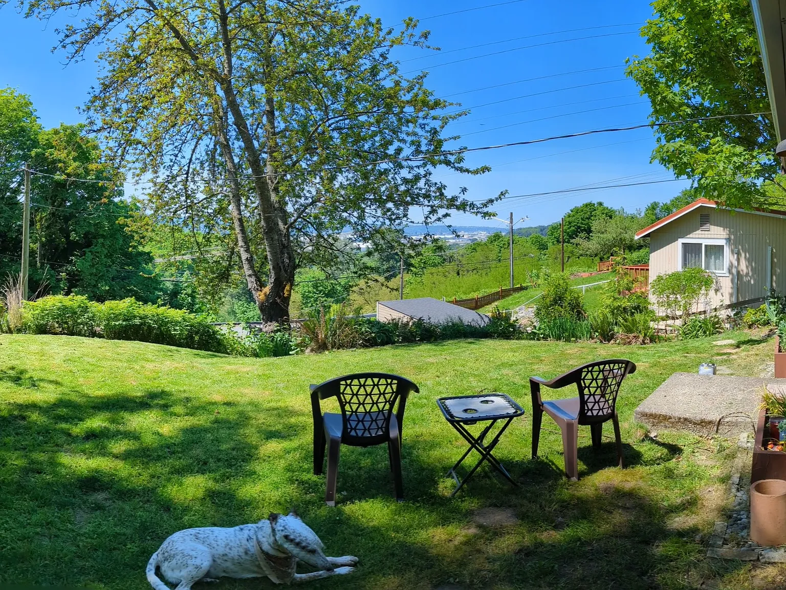 1 bed, 860 sqft, $2,700 — Photo 4