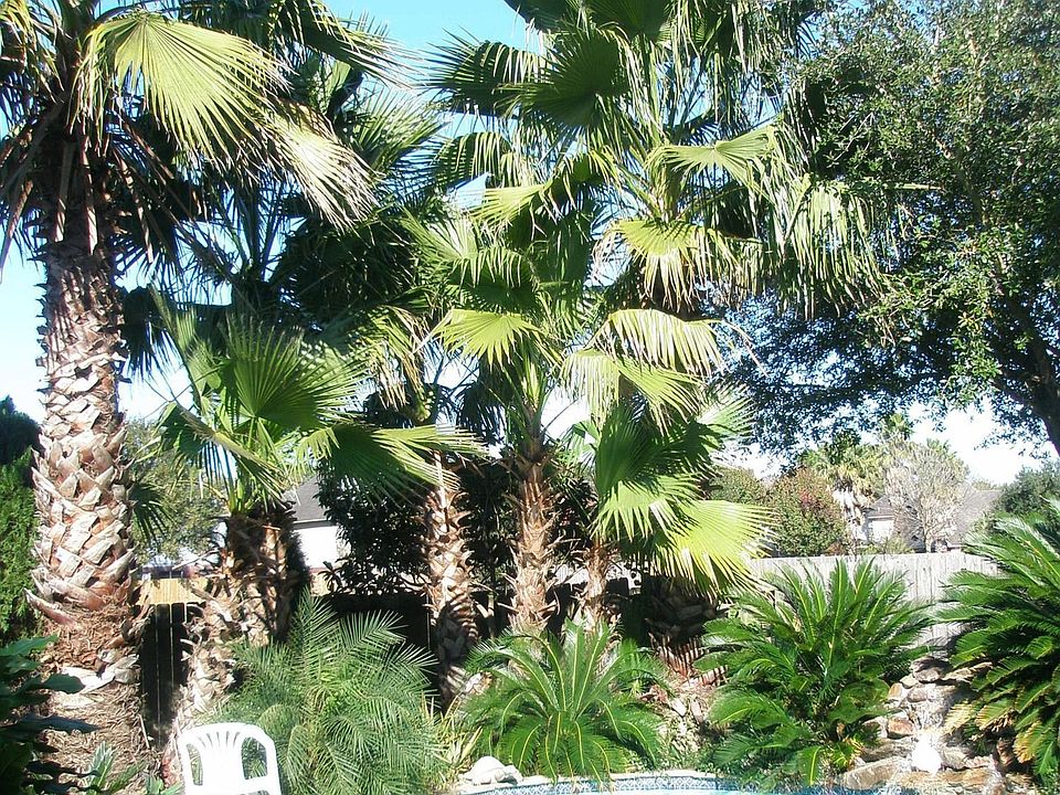 Resort in your backyard!