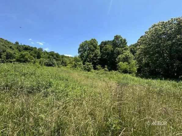 38660 County Road 5 Bradbury Rd, Middleport, OH 45760