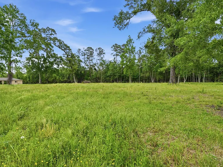 10240 Post Oak Dr — Photo 41