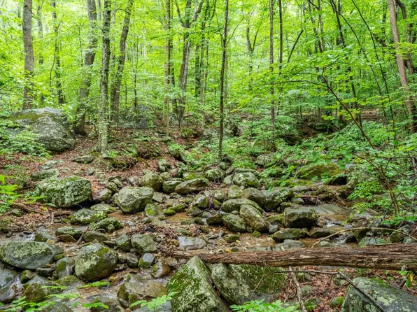 1509 Spruce Creek Ln, Nellysford, VA 22958