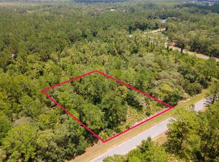 Saffron Ave, Eustis, FL 32736