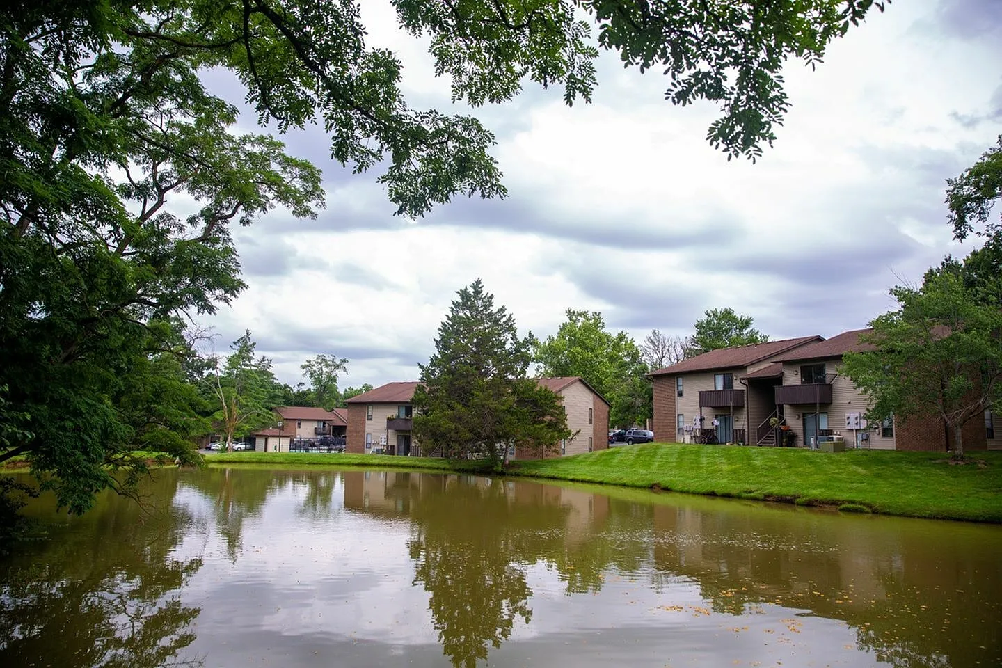 Forest Village — Photo 1