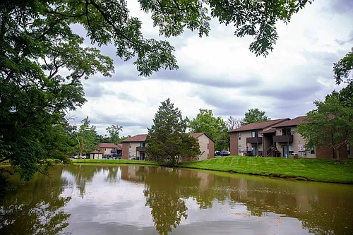 Forest Village Photo 1