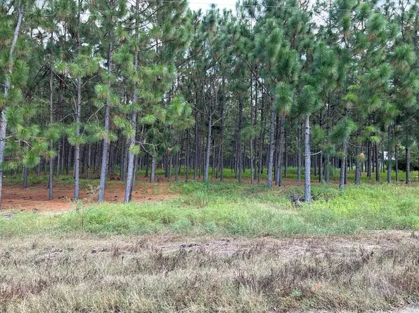 44.421 Peach Farm Rd, Ashford, AL 36312