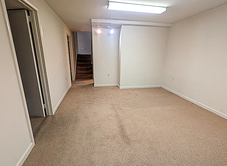Basement Recreation Room
