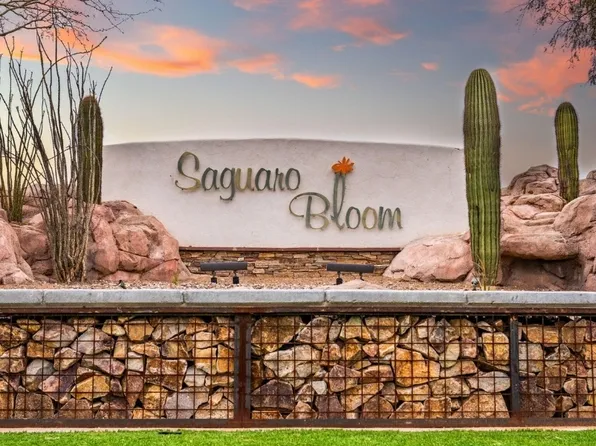 8839 W Baja Fairy Dr, Marana, AZ 85653