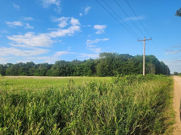 West tree line view from 2040 CR