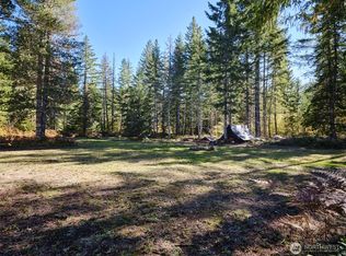 2 Lahar Ln #A, Cougar, WA 98616