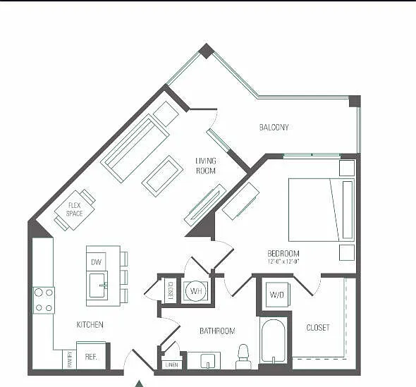ACCENT BRIER CREEK — Photo 38