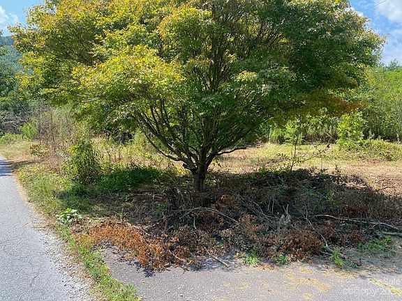 3rd image of 133 W Poplar Dr