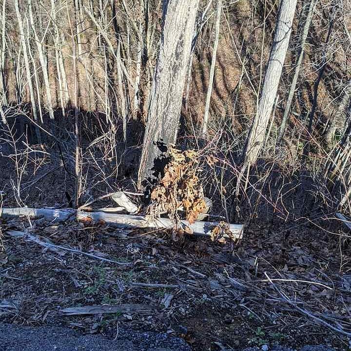 1st image of 8 Deer Path Ln Lot 8