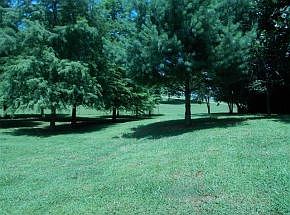 5th image of 2582 Phillip Ln