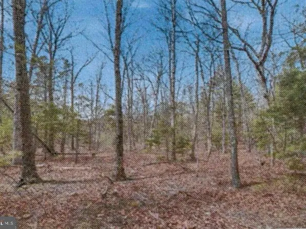 16 Mountain Falls Blvd #B, Winchester, VA 22602