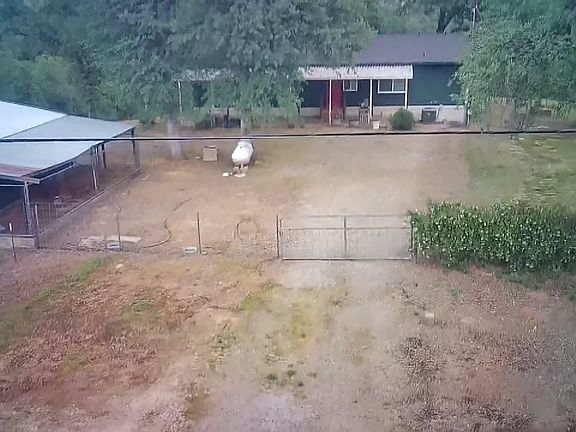 2nd image of 4013 Old Happy Valley Rd
