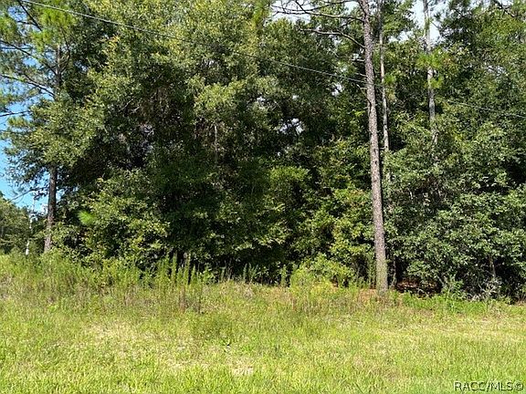 2nd image of 8842 N Creek Way