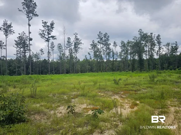 23799 Lonnie Hadley Rd, Perdido, AL 36562