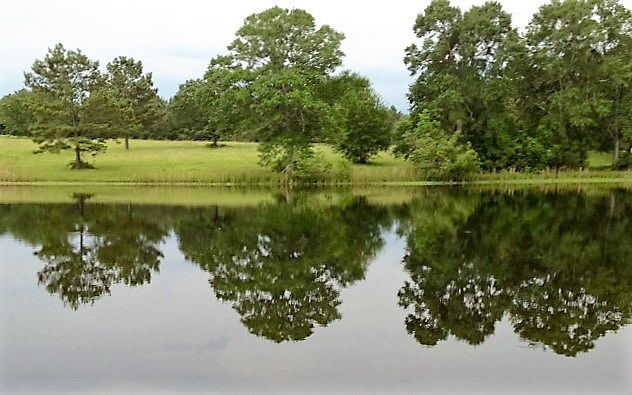 1st image of Blue Heron Dr