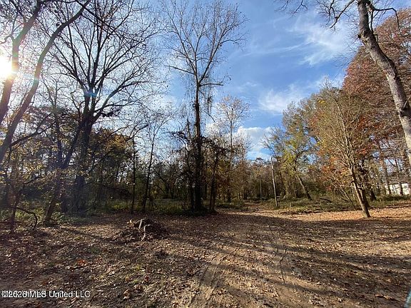 5th image of 20500 Old Highway 80 Lot 19