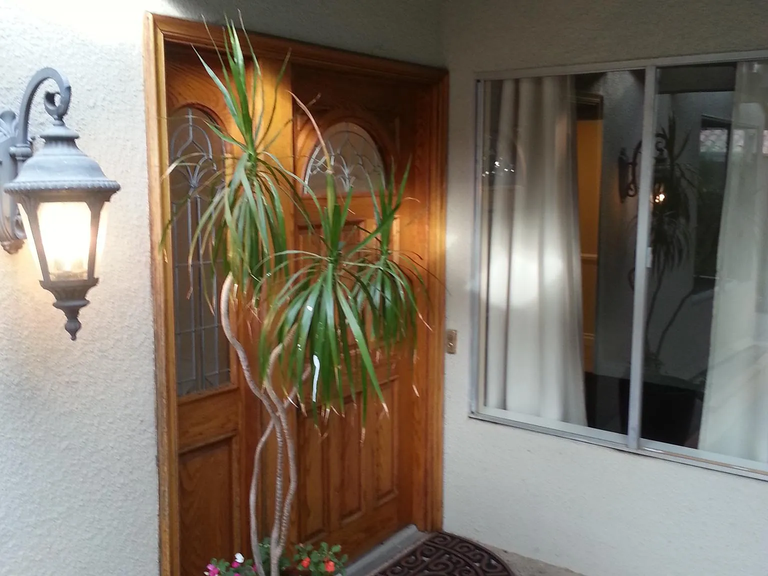 1833 Shady Brook Dr — Photo 3