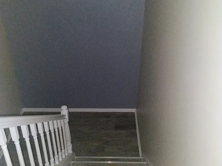 1803 Dumont Ln — Photo 11