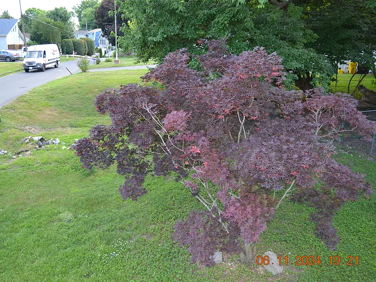 329 Bar Harbor Rd #B — Photo 3