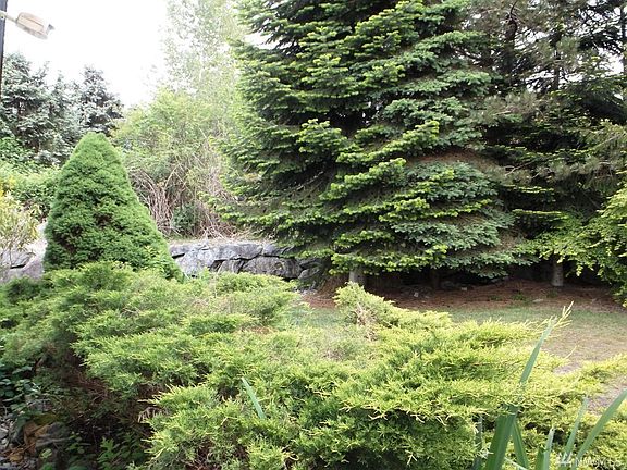 5th image of 1429 128th Dr NE #7B