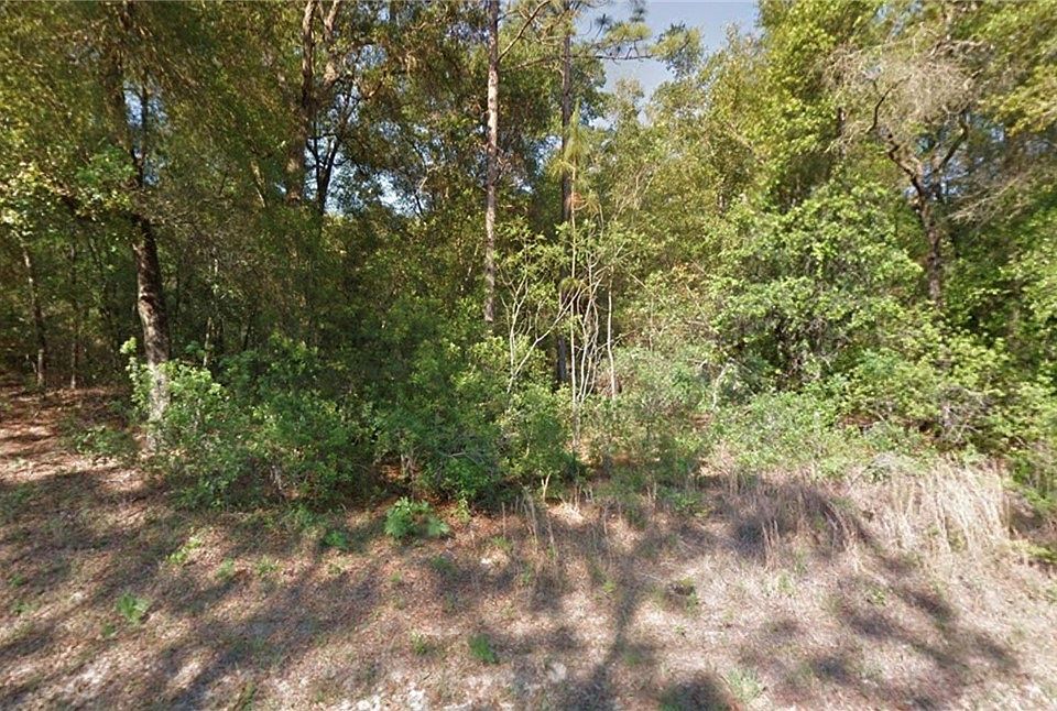 2nd image of 11048 N Adler Dr
