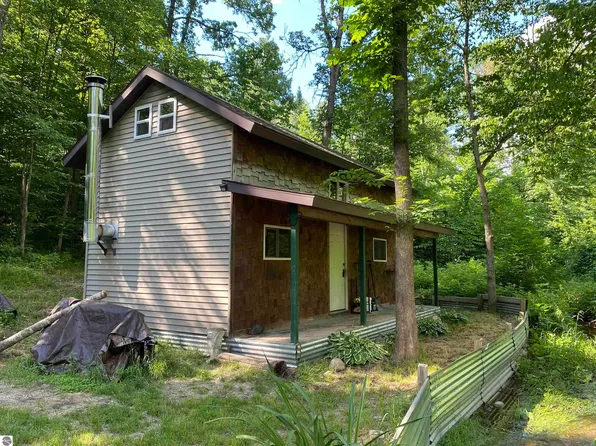450 Lockwood Ln, Mio, MI 48647