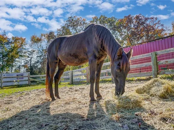 4340 Edgar Rd, Sophia, NC 27350