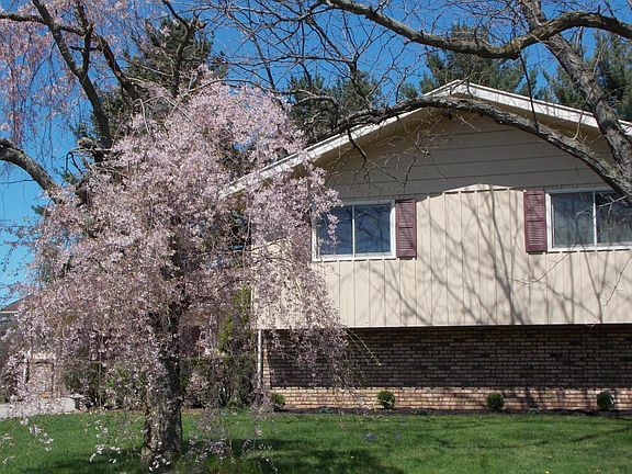 4th image of 4739 Timberland Dr #1