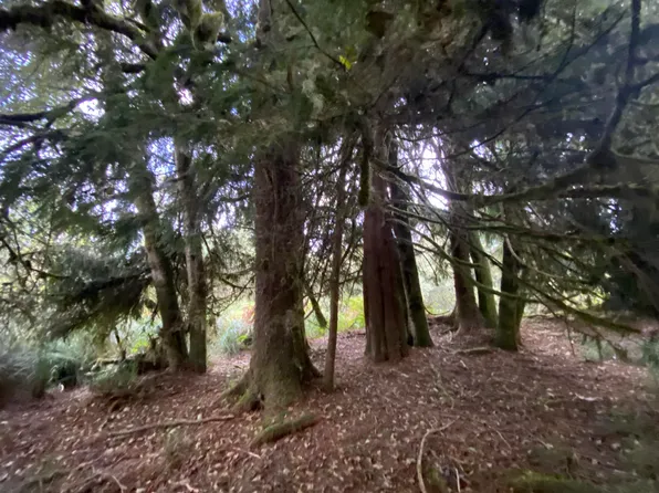 0 Dellmoor Loop, Warrenton, OR 97146