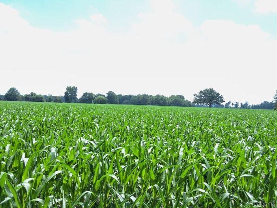 1st image of Auction Lot Capac Rd