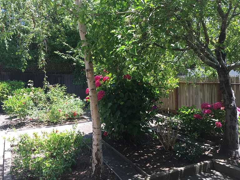 Shared back yard with upper duplex