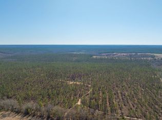 0 Bill Merritt Rd, Buena Vista, GA
