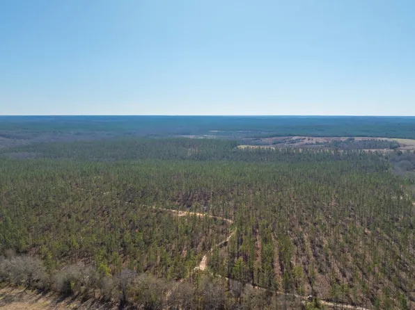 0 Bill Merritt Rd, Buena Vista, GA 31803