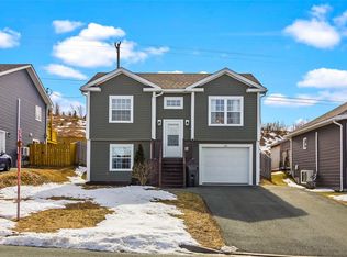 113 Cole Thomas Dr, Conception Bay South, NL A1X0H3