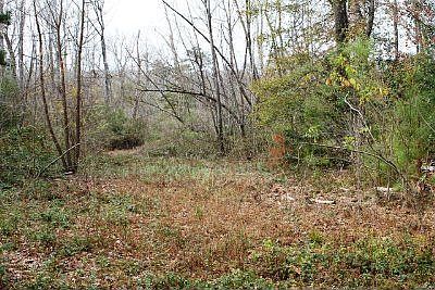 2nd image of 21B Cypress Rd