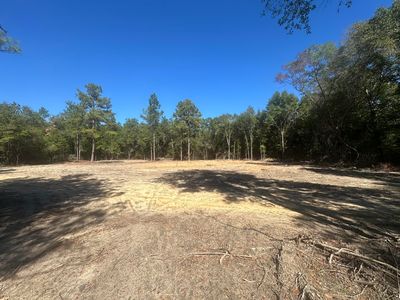 County Highway 183 S, Defuniak Springs, FL, 32435