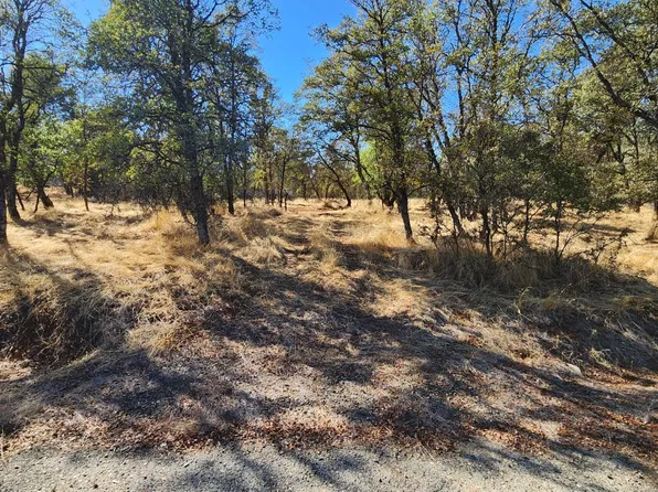 Castano Way, Coulterville, CA 95311