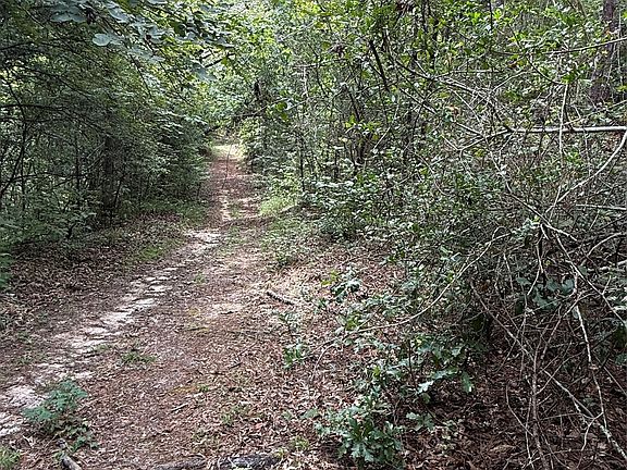 5th image of 99999 County Road 207