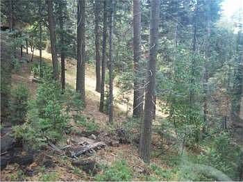 4th image of 830 Coyote Walk