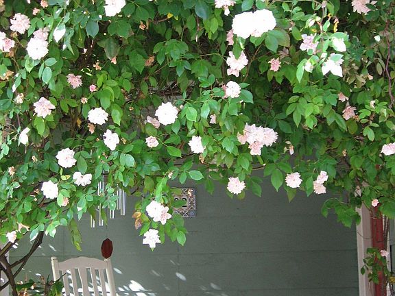 Front porch from the walkway