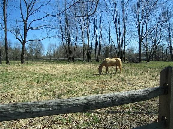 Pasture in rear of home